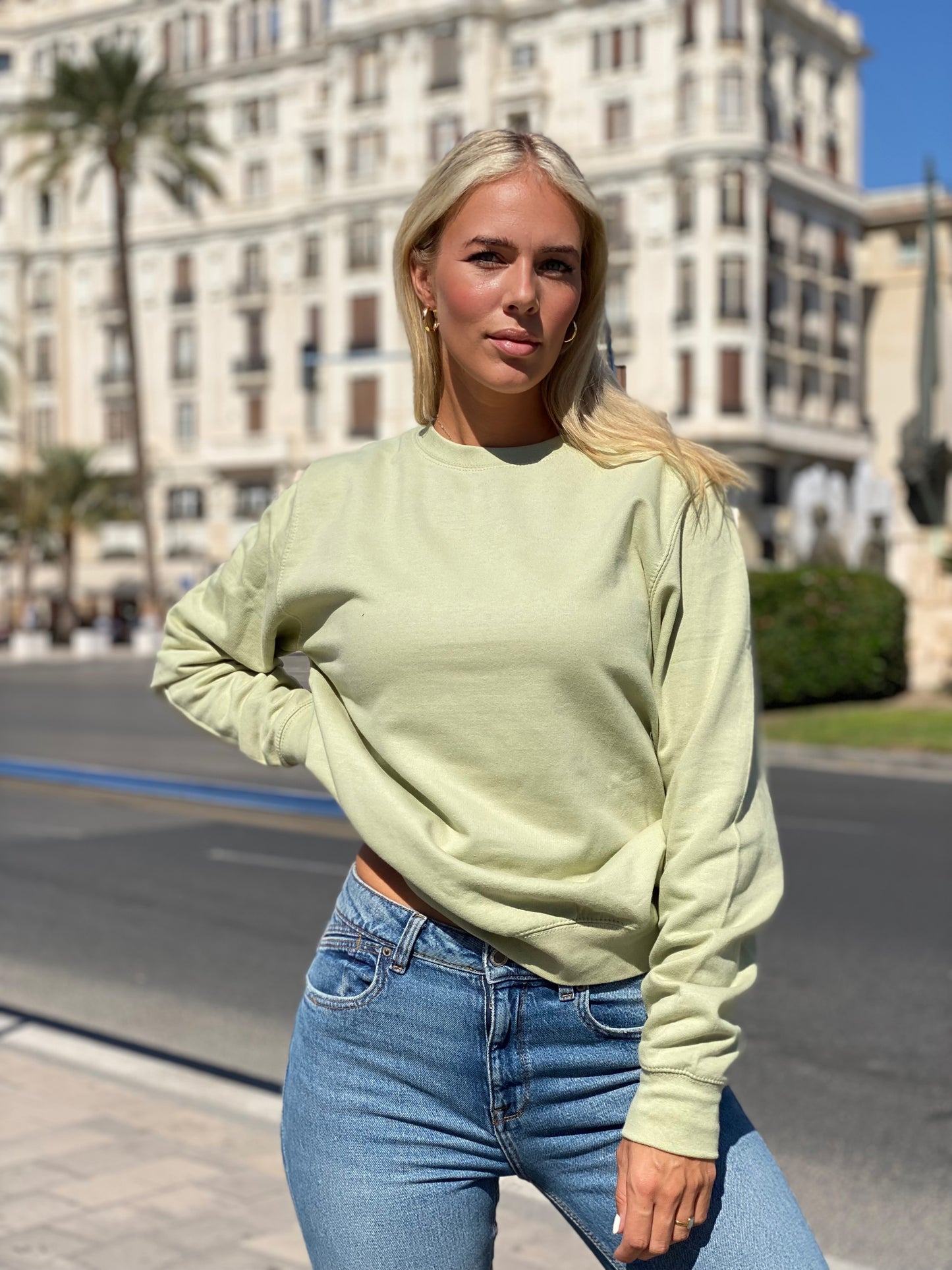 Shiney - Sage green sweater