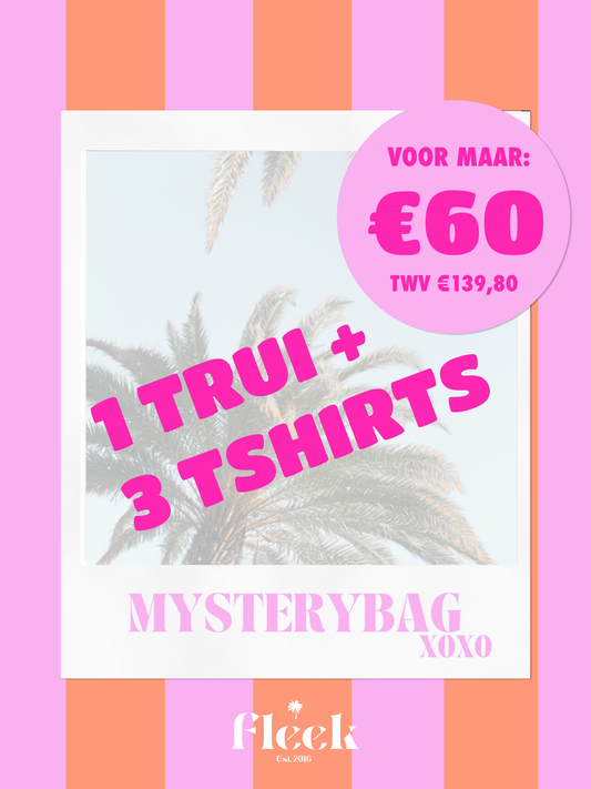 Mysterybag - 3 T-shirts + 1 Sweater